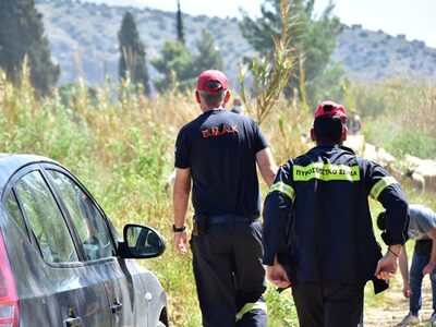 Π.Υ. Λεχαινών και 6η ΕΜΑΚ διέσωσαν αγελά...