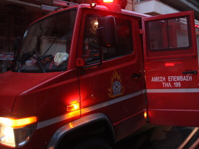 Πυρκαγιά σε δασική έκταση στην Ευρωστίνη Κορινθίας
