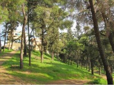 Πάτρα: Αλλάζουν όψη Δασύλλιο - Γούβα- Βλ...