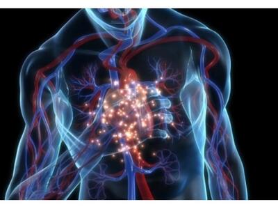 Δωρεάν καρδιαγγειακός έλεγχος για τους α...