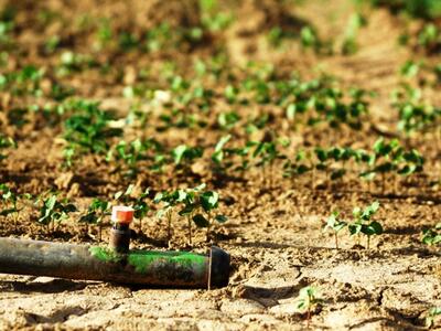 Σε απόγνωση οι παραγωγοί σε Δωδεκάνησα κ...
