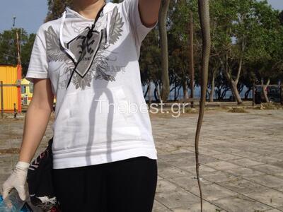 Πάτρα: Ενα φίδι τρόμαξε τους πολίτες που...