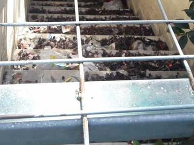 Εστία μόλυνσης οι παλιές δημόσιες τουαλέ...