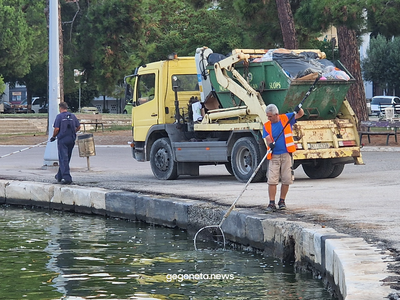 Βόλος: Μαζεύουν με την απόχη τα νεκρά ψά...