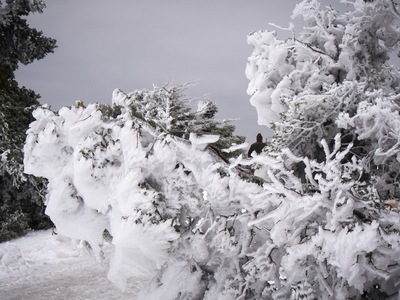 Διακοπή κυκλοφορίας στη λεωφόρο Πάρνηθας...