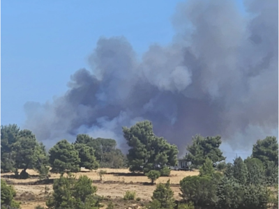 Φωτιά στο Βαρνάβα κοντά σε σπίτια -Εναέρ...