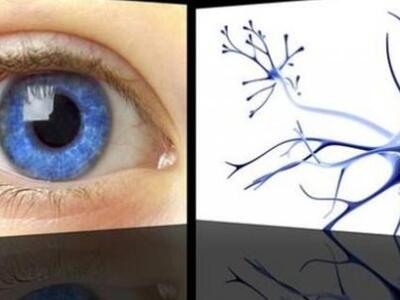  Eκτύπωσαν με επιτυχία νέα κύτταρα ματιού