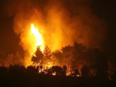 Αχαΐα: Φωτιά στην Άρλα- Έκαψε αγροτική έκταση