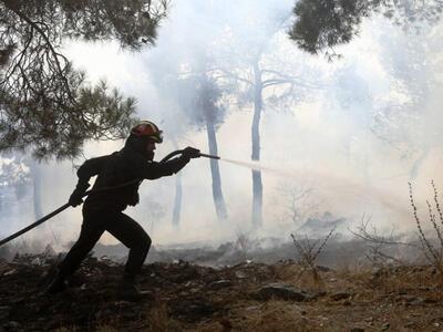 Στάχτη 80 στρέμματα δάσους στο Σέιχ Σου