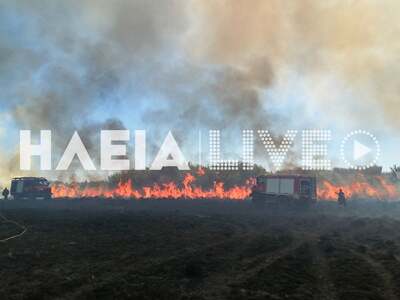 Οριοθετήθηκε η φωτιά στην Αρετή Λεχαινών