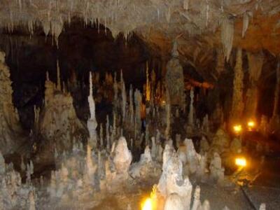 Γιάννενα: Ιδρύεται πάρκο παλαιοντολογίας 