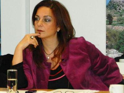 Το Περιφερειακό Συμβούλιο Ιονίων Νήσων ε...