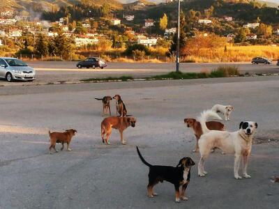 Ο Δήμος Πατρέων υπέγραψε σύμβαση με κτην...