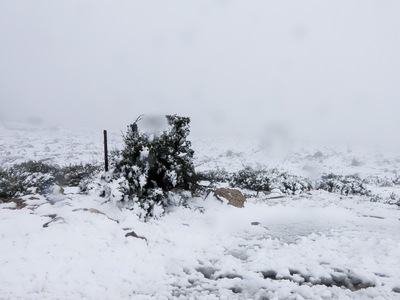Στην "κατάψυξη" και σήμερα με ...