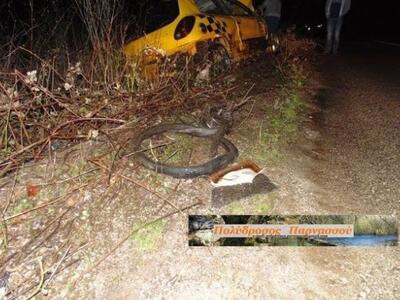 Τραγωδία στη Φωκίδα: Νεκροί ένας 16χρονο...