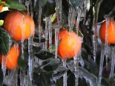 Άγγελος Τσιγκρής: «Να καταβληθούν άμεσα ...