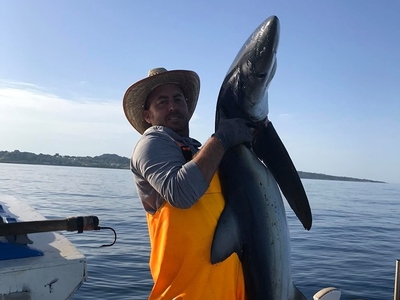 Ψάρεψε δίμετρο μπλε καρχαρία 48 κιλών, στον Πύργο!
