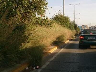 "Ζούγκλα" τα διαζώματα στην Ακ...