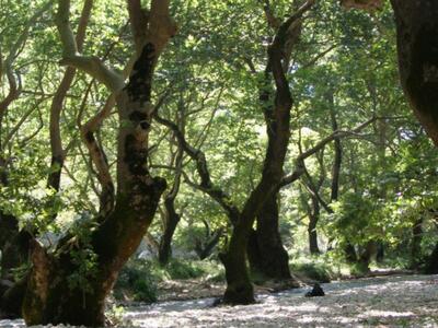 Πάτρα: Ημερίδα Ενημέρωσης & Ευαισθητ...