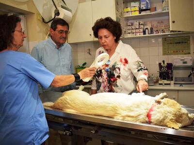 Κώστας Πελετίδης: Προχωράμε στη δημιουργ...