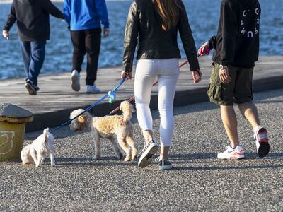 Μετακινήσεις: Αυτές είναι οι τρεις νέες ...