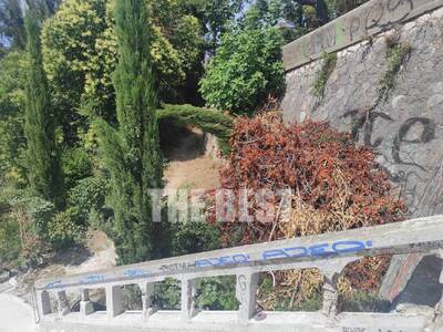 Πάτρα- Σκάλες Αγίου Νικολάου: Κλάδεψαν κ...