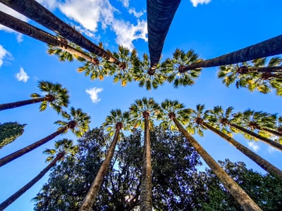 Θ. Κολυδάς: Δεν έχει κλειδώσει ο καιρός ...