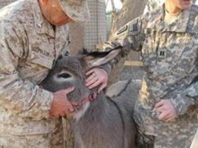 Πέθανε ο Ιρακινός γαϊδαράκος που είχε &q...