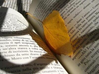 «Έξι διαστάσεις μετά» η νέα ποιητική συλ...