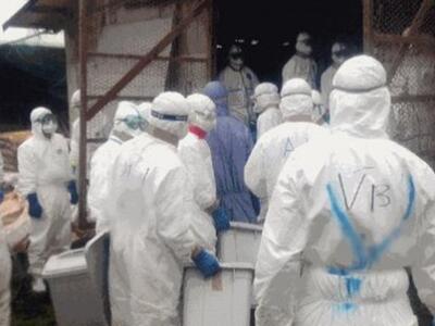 Επιβεβαιώθηκαν τα κρούσματα του H5N8 και...