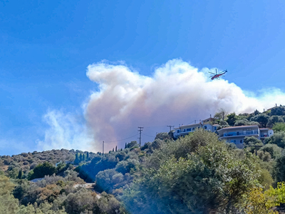  Εύβοια: Η συγκινητική κίνηση ενός κοριτ...