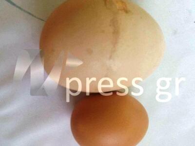 Απίστευτο αυγό γίγας στη Ναυπακτία- Και ...