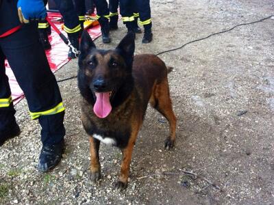 Αχαΐα:  Άλυτο το "μυστήριο" με...