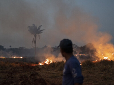Βραζιλία: Ρεκόρ πυρκαγιών καταγράφηκε το...