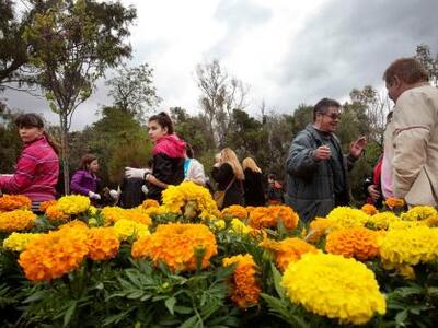 Πάτρα: Απολογισμός παρεμβάσεων στην Οβρυά