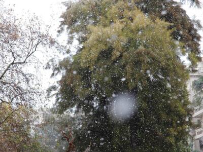 Πάτρα: Έπεσαν οι πρώτες νιφάδες χιονιού ...