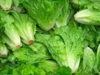 Aπό που έρχεται το μαρούλι και ποιές οι ...