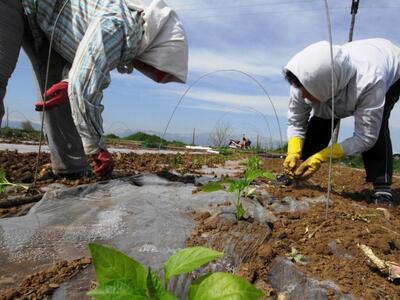Ξεκίνησε η καταβολή της εξισωτικής αποζη...