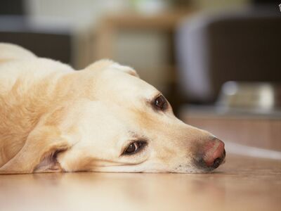 ΦΩΤΟ ΑΡΧΕΙΟΥ