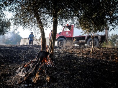 Υψηλός κίνδυνος πυρκαγιάς σε Ηλεία και Α...
