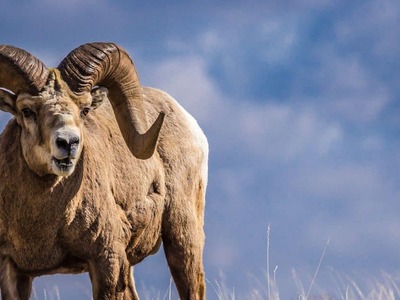 Τραγωδία στη Μεσσηνία: 64χρονη πήγε να τ...