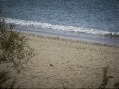 Nεκρό κοριτσάκι στο Π. Φάληρο: Στο μικρο...