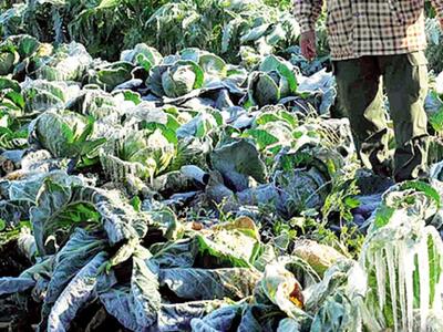 Δυτική Αχαϊα: Στους -7 η θερμοκρασία και...