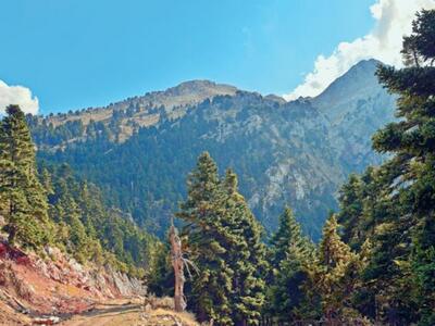 Δήμος Ερυμάνθου: Συνεδρίασε το Συντονιστ...