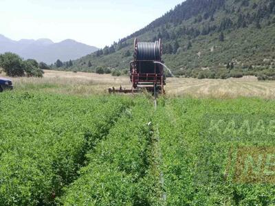 Πρωτοφανής δολιοφθορά στον κάμπο των Λου...