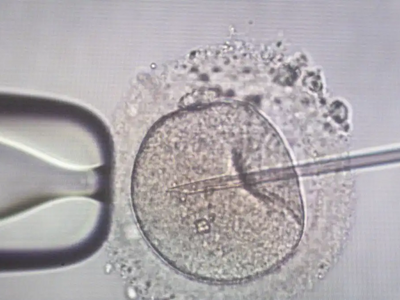 Photo by: Focke Strangmann / picture-all...