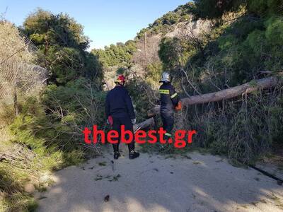 Αχαΐα: Στο "πόδι" η Πυροσβεστι...