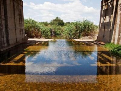 Ποιες είναι οι επτά εταιρείες που καταδι...