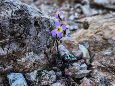Καιρός: Βροχές και χαμηλές για την εποχή...
