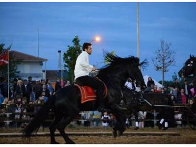 Πατρινός με άλογο στην Εθνική Οδό Πατρών...